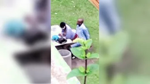 Caught Fucking In The Picnic Garden