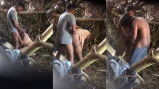 Desi Porn Of Young Lovers Fucking Near The Bush