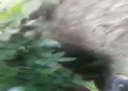 High School Students Fucking Outdoor After Class