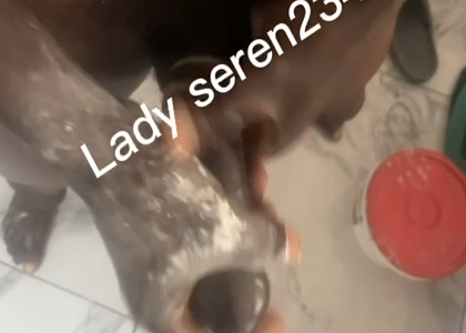 Lady Serena234 and Painter Leak